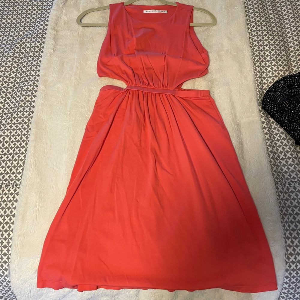 Susana Monaco Dress
